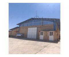 فروش کارخانه لبنی