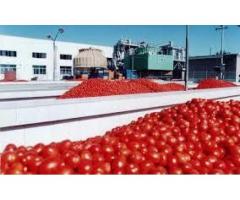 فروش کارخانه رب گوجه فرنگی با 50000 متر زمین و سوله در مشهد