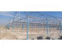 گلخانه ی 3000 متری شیر حصار